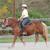 OndowaStables