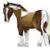 WhiteRoseStables